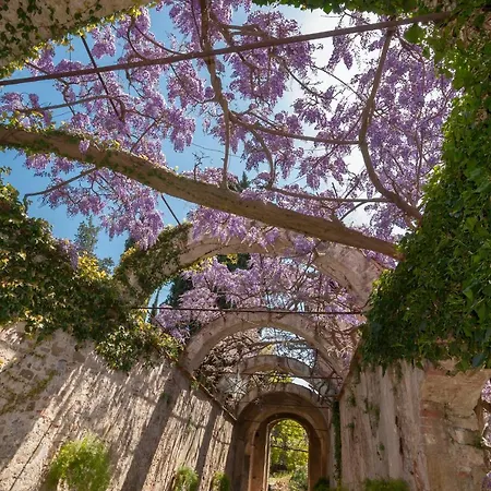 Casa Rosa Florence