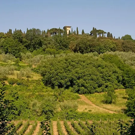Casa Rosa
